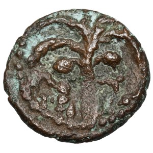 Grécko, Feničia, Tír (1.–2. storočie n. l.) AE16