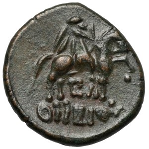 Greece, Thrace, Odessa, AE21 (3rd–2nd centuries B.C.)