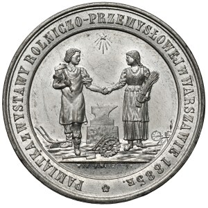 Medal from the Agricultural and Industrial Exhibition in Warsaw, 1885