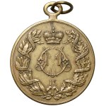 Serbia, Milan I Obrenović, Medal, 1878