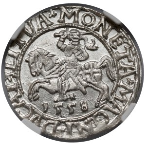 Sigismund II Augustus, Vilnius Half-Grosz, 1558 - LITVA