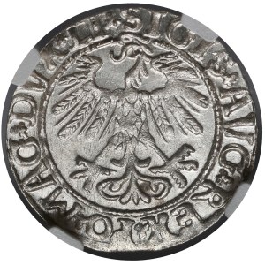 Sigismund II Augustus, Vilnius Half-Grosz, 1558 - LITVA