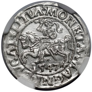 Zygmunt II August, Półgrosz Wilno 1547