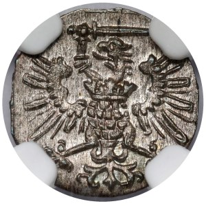 Obdobie bezvládia, denár z Gdaňska z roku 1573 – krásny