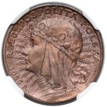 Próba BRĄZ 20 złotych 1925 Głowa Kobiety - ex. Karolkiewicz