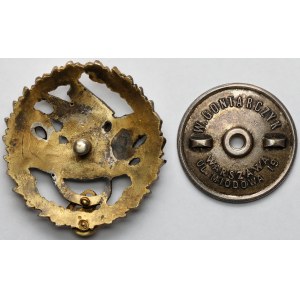 Badge, Armored Weapons Officer Candidate School - RARE