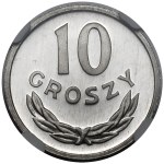Zobraziť podobné