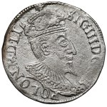 Sigismund III Vasa, Olkusz Trojak, 1595 – NIAE – extremely rare