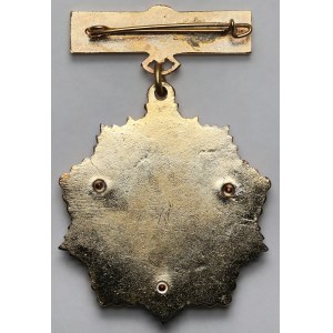 Badge: Distinguished Shipyard Worker of the Polish People's Republic [391 awards]