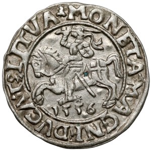 Sigismund II Augustus, Vilnius Half-Groschen, 1556 - LI