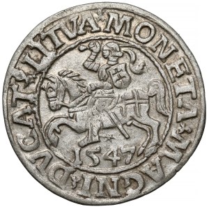 Sigismund II. August, Halbgroschen aus Vilnius, 1547