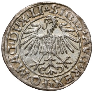 Sigismund II Augustus, Vilnius Half-Groschen, 1548 – Roman – LI