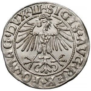 Sigismund II Augustus, Vilnius Half-Groschen, 1548 – Arabic