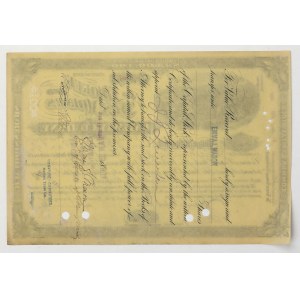 USA, The Keokuk and Des Moines Railway Company, 100 × 100 dolárov, 1904