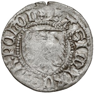 Casimir IV Jagiellon, Gdańsk Szeląg - WITHOUT a crown