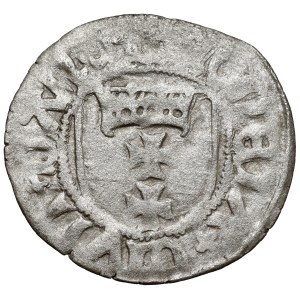 Casimir IV Jagiellon, Gdańsk Szeląg