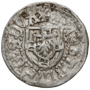 Zakon Krzyżacki, Henryk Reffle von Richtenberg, Szeląg - QVA - mały orzeł