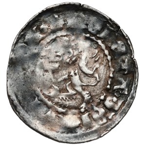 Casimir III the Great, Ruthenian Quarterly, Lviv