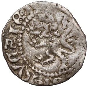Casimir III the Great, Ruthenian Quarterly, Lviv