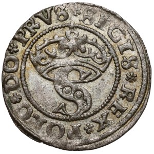 Sigismund I the Old, Toruń Szeląg, 1529