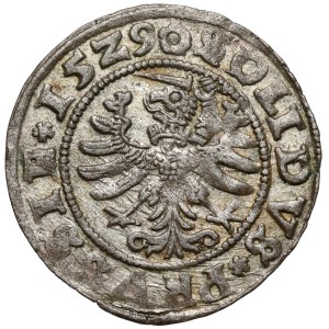 Sigismund I the Old, Toruń Szeląg, 1529