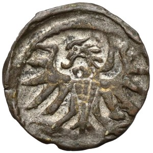 Sigismund II Augustus, Elbląg Denar, 1556