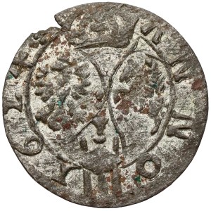 Sigismund III Vasa, Trzeciak Łobżenica 1624 — designation III