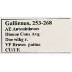Roman Empire, Antoniniani - Set (3 pieces)