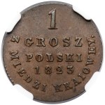 1 grosz polski 1823 I.B. z MIEDZI KRAIOWEY