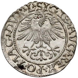 Sigismund II Augustus, Half-grosz Vilnius 1561