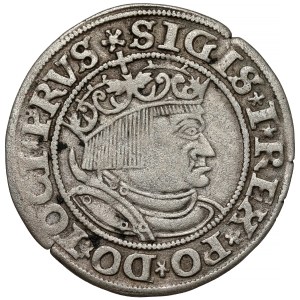 Zikmund I. Starý, Grosz Toruń 1532 - široké rameno
