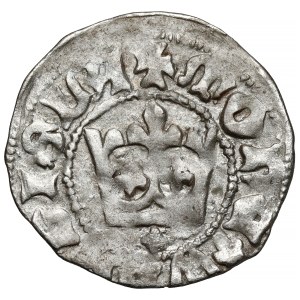 Władysław II Jagiełło, Półgrosz Kraków - typ 15 - znak +