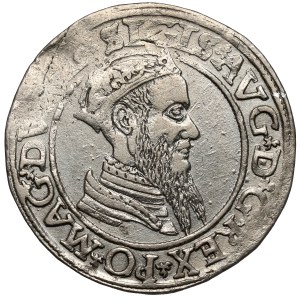 Sigismund II Augustus, Fourfold Vilnius 1566