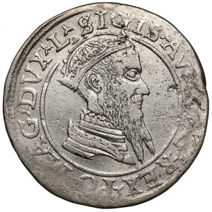 Sigismund II Augustus, Fourfold Vilnius 1568 - unstylized