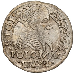 Sigismund II Augustus, Penny per Polish foot 1566, Tykocin - RARE portrait