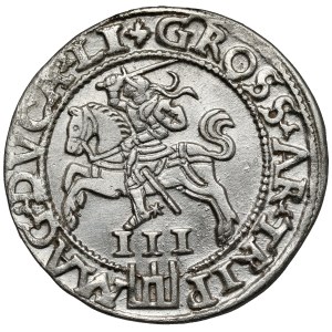Sigismund II Augustus, Vilnius Troika 1562 - large Pogon