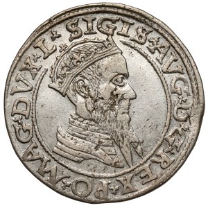 Sigismund II Augustus, Fourfold Vilnius 1565