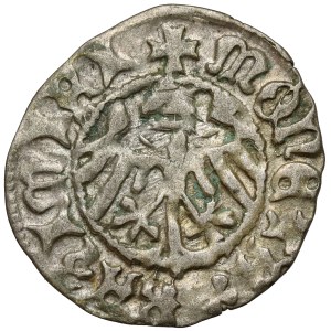 Kazimierz IV Jagiellończyk, mezzo penny Cracovia