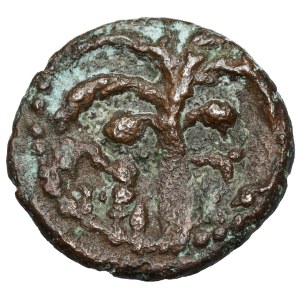 Greece, Zeugitana, Carthage (237-234 B.C.) AE16