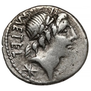 Republic, C. Poblicius Malleolus, A. Postumius Sp. f. Albinus and L. Metellus AR (96 B.C.) Denarius, Rome