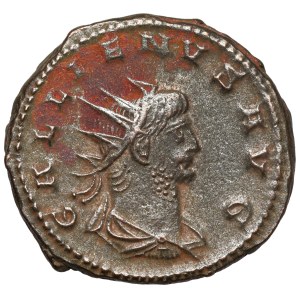Galien (258-268 n.e.) Antoninian, Antiochia