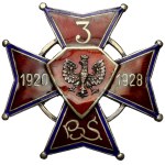 Badge, 3rd Sanitary Battalion - in SILVER