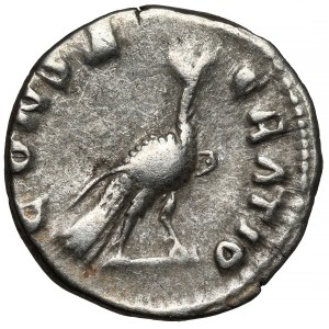 Faustina II the Younger (161-175 AD) Posthumous denarius, Rome