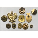 National Union of Poland, Badges and commemorative badges - set (6pcs)