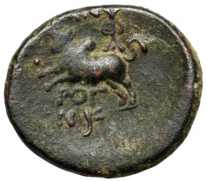 Grecja, Fenicja, Arados, AE22 (I w. p.n.e.)