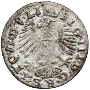 Sigismund III Vasa, Penny Vilnius 1609