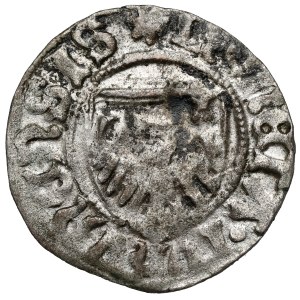 Casimir IV Jagiellonian, Szeląg Toruń