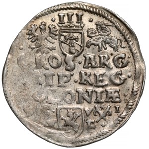 Sigismund III Vasa, Trojak Poznań 1595