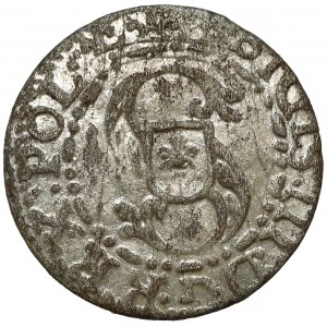 Sigismund III Vasa, the Riga 1615 Shelter?