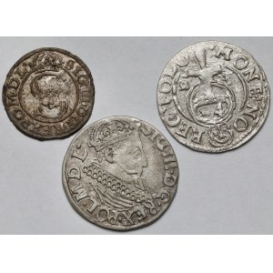 Zygmunt III Waza, Szeląg, Półtorak i Trojak - zestaw (3szt)